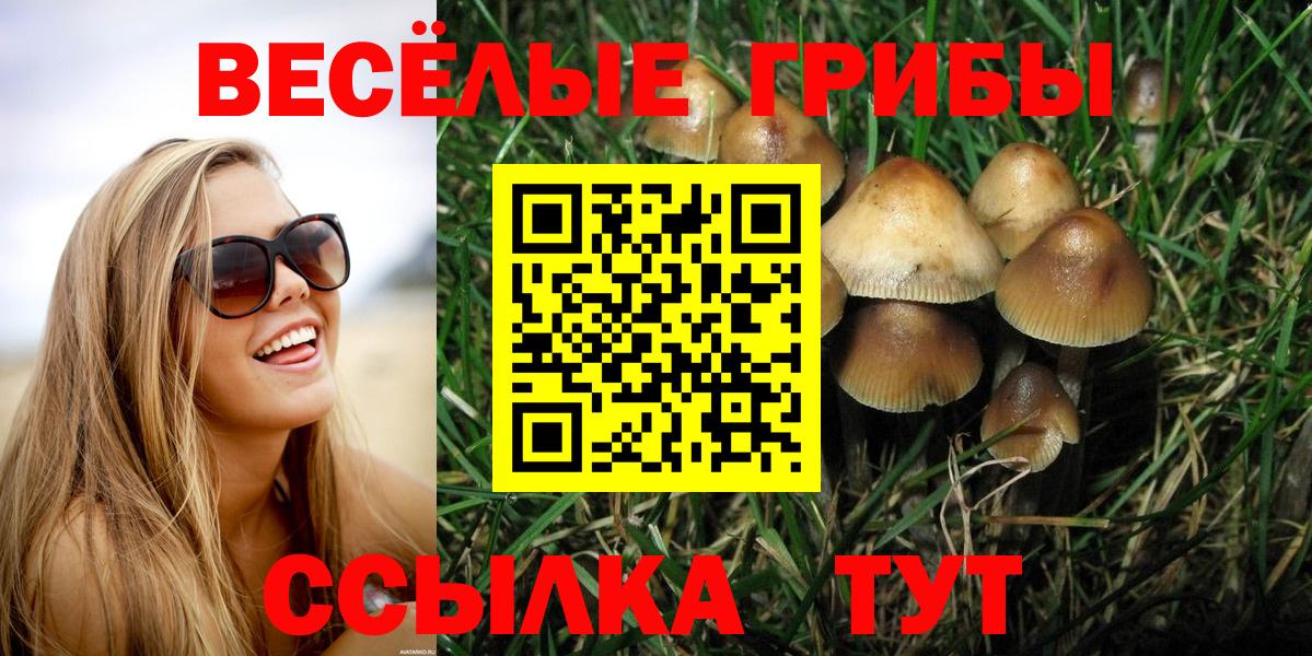 Долгопрудный  Псилоцибиновые грибы Cubensis  Вход с VPN 